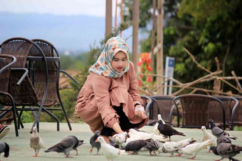 Ilustrasi menikmati wisata burung dara aceh besar sumber gambar phinemo.com
