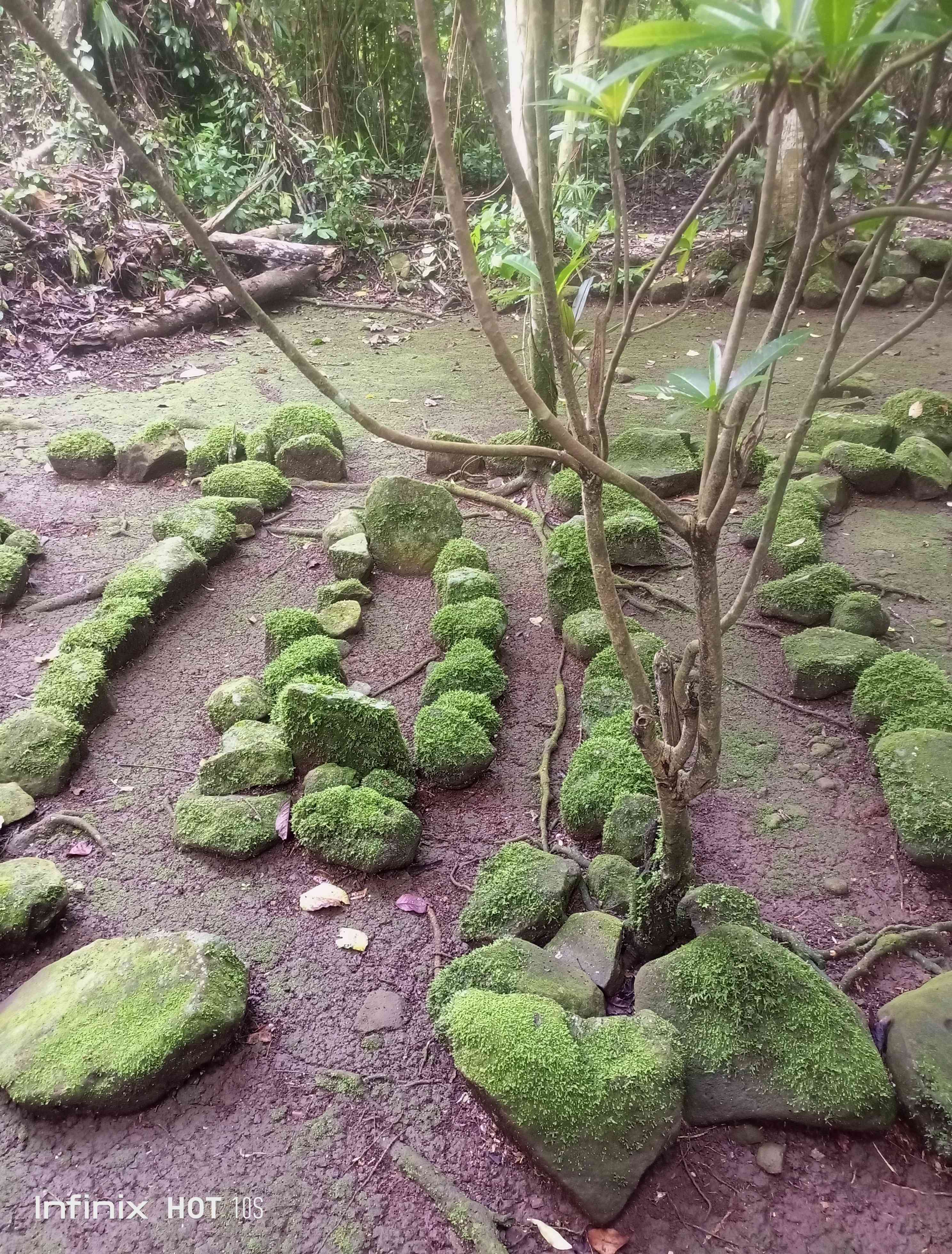 Makam leluhur Rajadesa Ciamis (dok. pribadi)