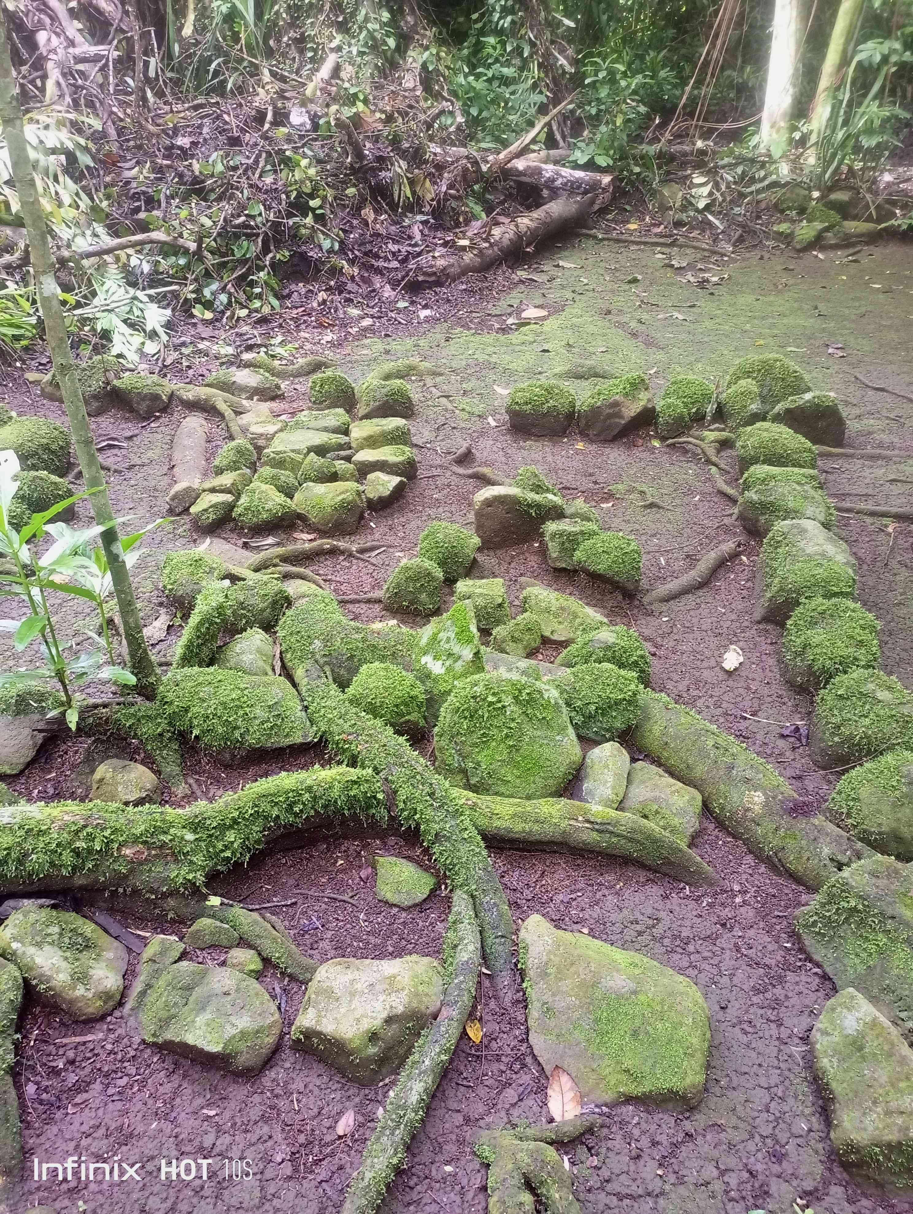 Makam leluhur Rajadesa Ciamis (dok. pribadi)