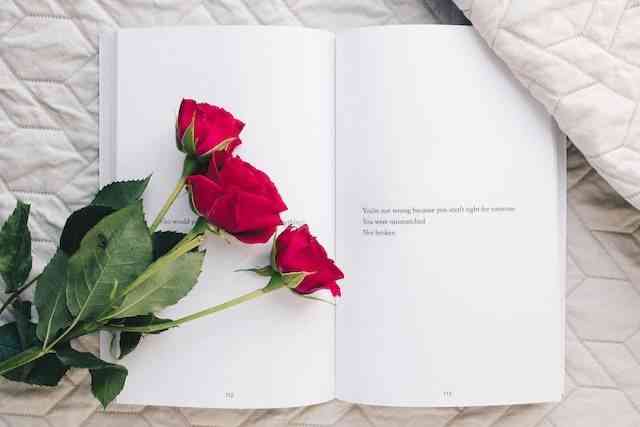 Bunga Mawar dan sebuah buku. Sumber: kumparan 