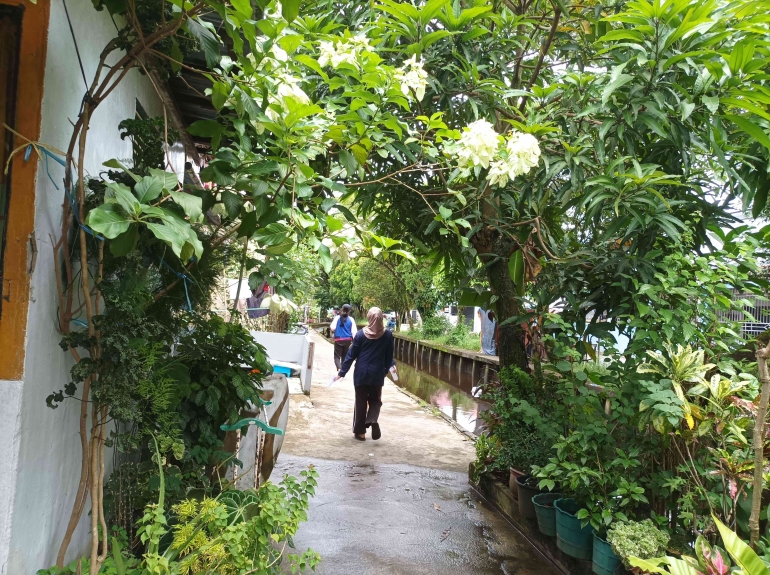 gambar 2: pekarangan rumah ibu Lindawati yang dipenuhi dengan tanaman (foto dari penulis)