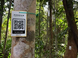 Pohon di hutan Tawang Serimbak yang telah diidentifikasi dan diberi kode QR untuk memudahkan penelusuran informasi
