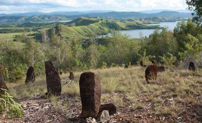 Sumber: Situs Megalitik Tutari di Jayapura Butuh Perhatian (ngopibareng.id)