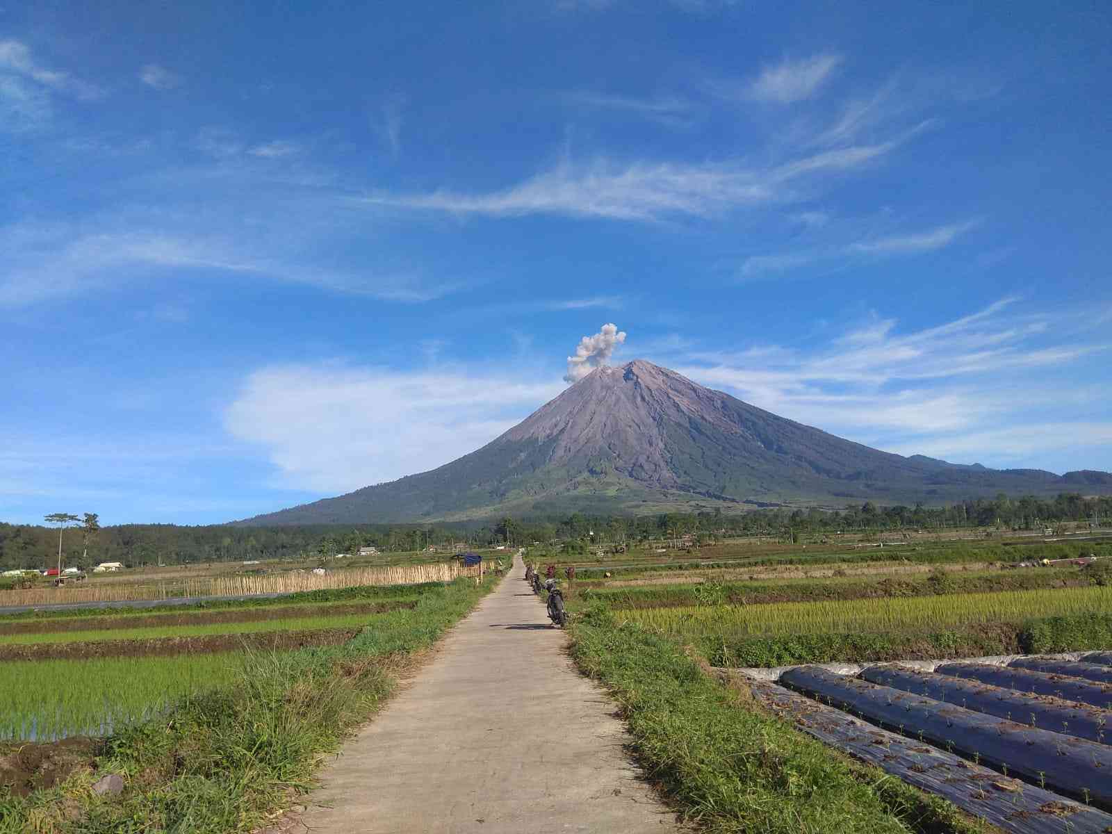 Gunung Semeru di pagi hari (dokpri)