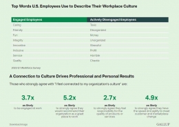 File Merza Gamal, sumber: Workplace Survey by Gallup