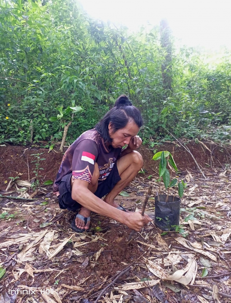 Menanam 1 pohon, menuai manfaat di masa depan (dok. pribadi)