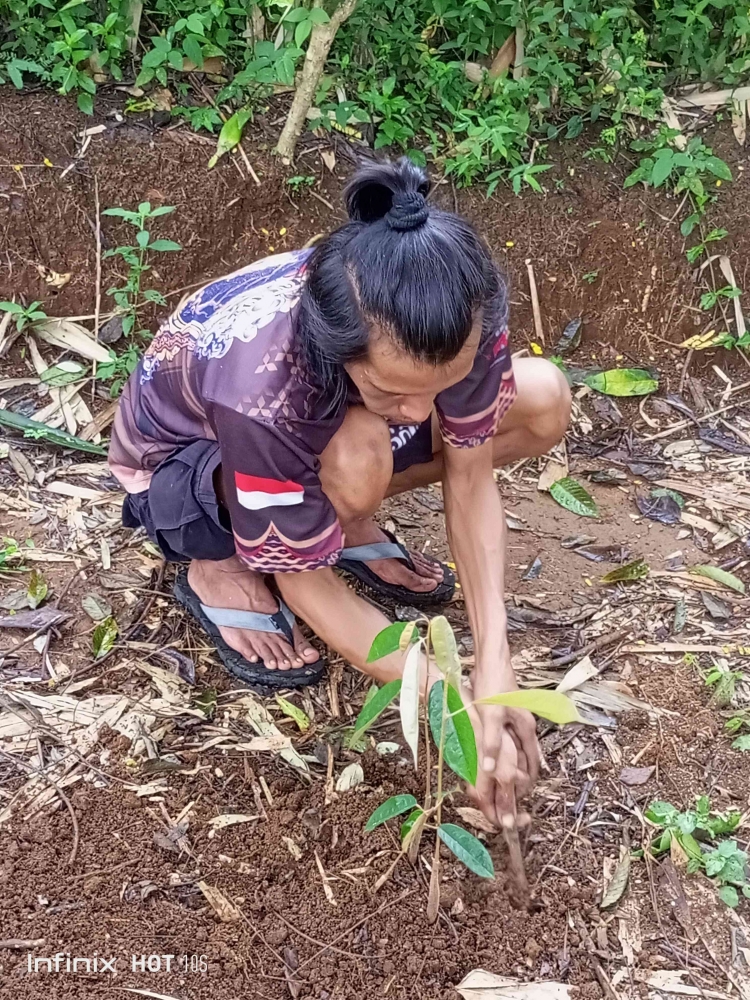 Menanam 1 pohon, menuai manfaat di masa depan (dok. pribadi)