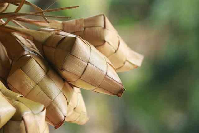 Ilustrasi ketupat lebaran oleh Mufid Majnun (Unsplash)