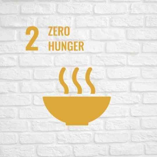 SDG 2: Zero hunger