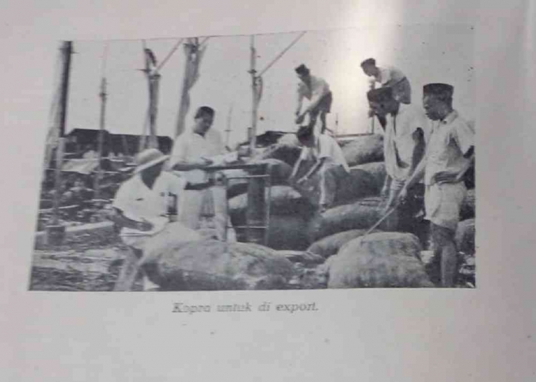 Ekspor Kopra-Foto: Repro Irvan Sjafari dari buku Propinsi Sulawesi Terbitan Kementeraian Penerangan