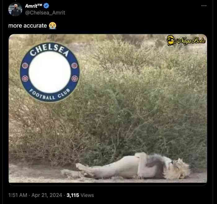 Chelsea Sticker Meme Berikut Ini adala Kumpulan Gambar Meme Chelsea yang Lucu dan Menghibur ...