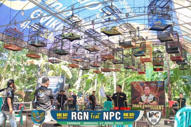 Suasana Seru RGN ft NPC 2024 bersama Abidintoto Kicau Mania / Dokpri