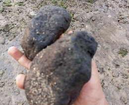 Penemuan Batu Bara di Pantai (Foto Mang Pram)