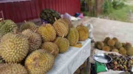 Durian dipajang dipinggir jalan milik pedagang Desa Simpang Empat Danau Kerinci. (dokumentasi pribadi)