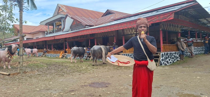Tominaa, Pong Juan memimpin prosesi ma'rimba dalam rangkaian acara ma'pasa' tedong. Sumber: dok. pribadi