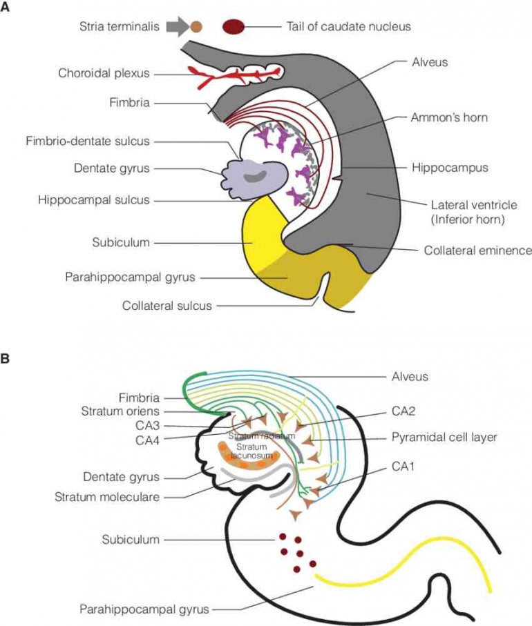 Sumber Gambar : ResearchGate