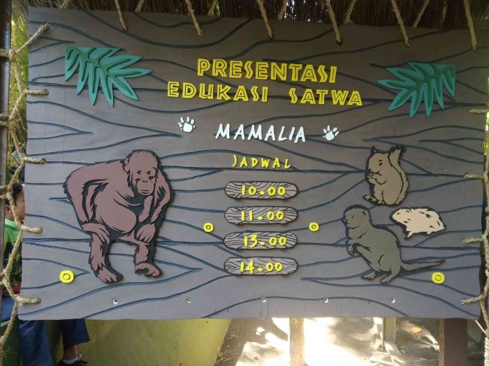 Jadwal atraksi satwa (dokpri)