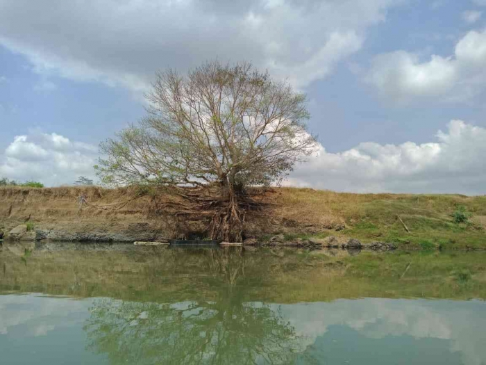 Pemandangan Sungai di Kedungbenda (Dok. Pribadi)