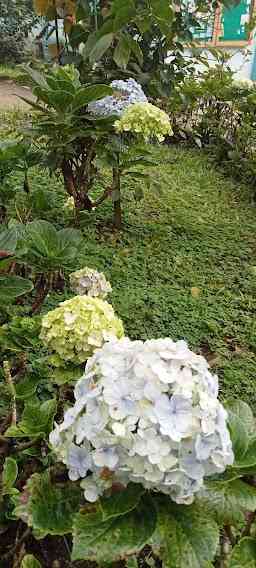 Input sumber gambar