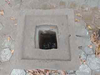 Phalus Tampak Atas (Dok. Pribadi)