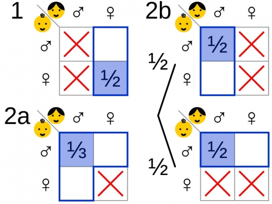 Boy or Girl Paradox. Sumber: Wikipedia