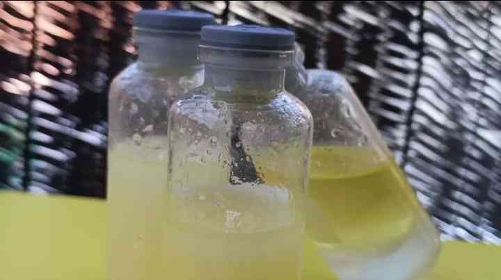 DIY Reed Diffuser: Manfaatkan Limbah Minyak Goreng untuk Aromaterapi ...