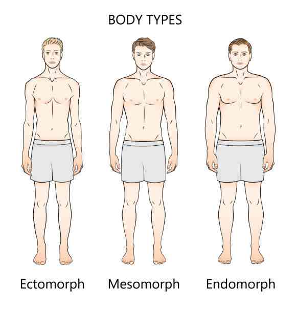 Mesomorph: Memahami Tipe Tubuh Atletis yang Berpotensi untuk Kebugaran ...