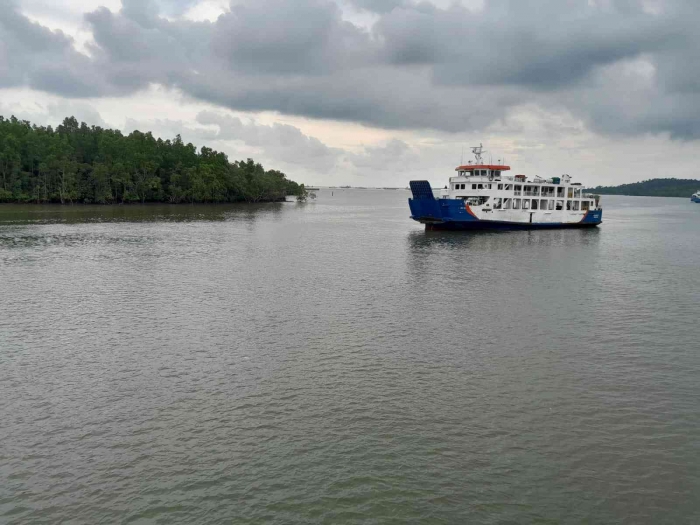 Hutan bakau yang hijau (dokpri)