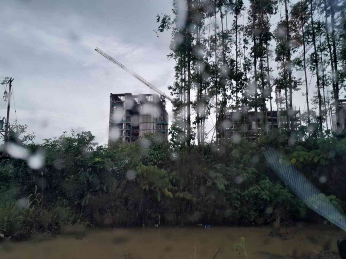 Gedung dibalik pohon (dokpri)