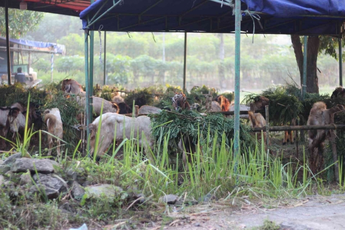 Input sumber gambar dokpri