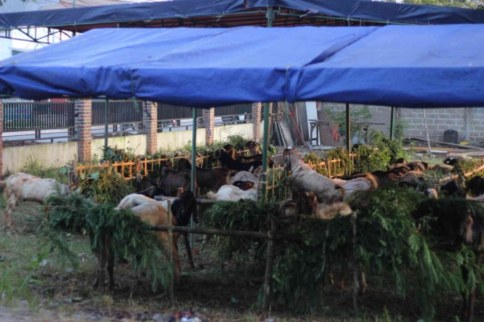 Input sumber gambar dokpri