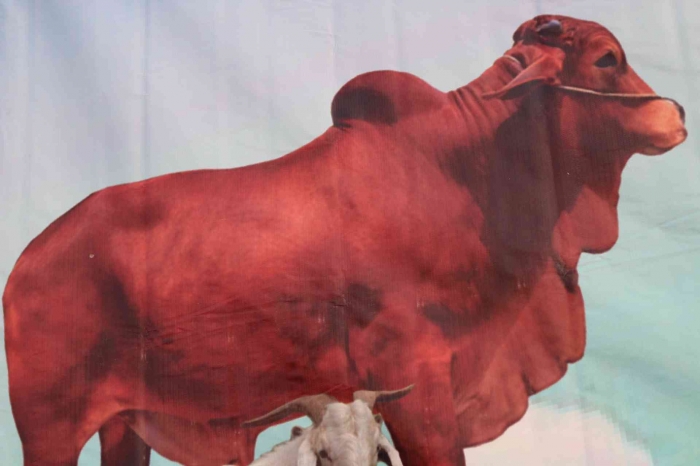 Input sumber gambar dokpri potret banner mesjid Baiturrahim Mustikajaya