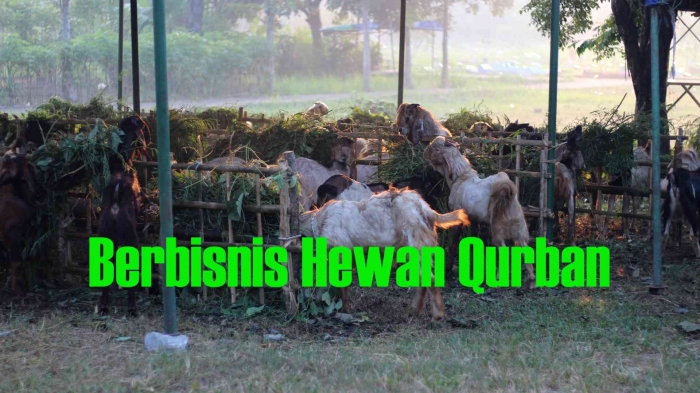 Input sumber gambar dokpri