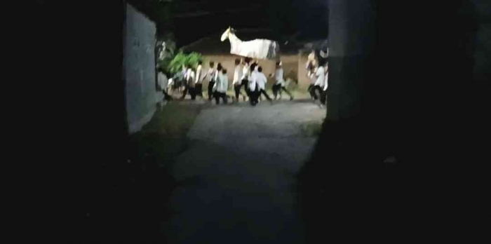 Semarak Takbir Keliling Idul Adha 1445 H Diwarnai kerangka hewan kurban yang dipikul para santri (dokpri)