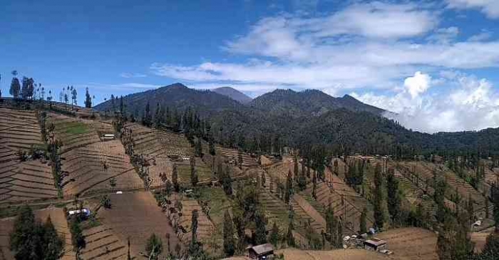 Lahan berundak atau terasering di sekitar Bromo Tengger Semeru. | Dokpri