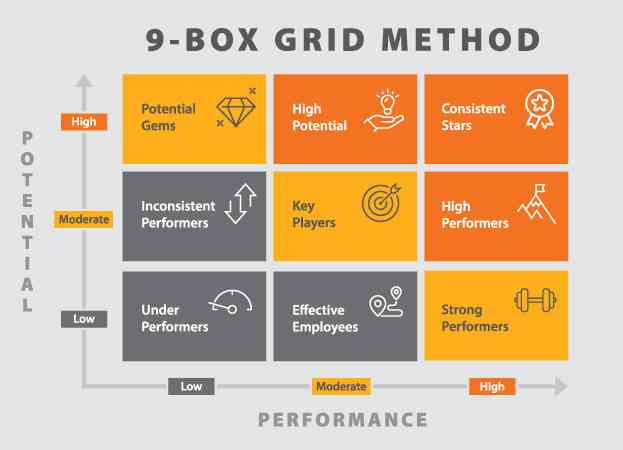 Menghadapi Tantangan Gen Z di Tempat Kerja: Peran 9 Box Grid dalam ...