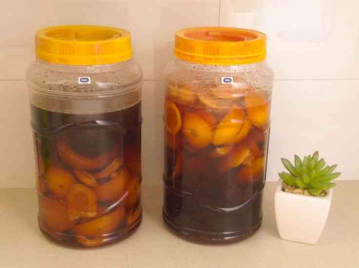Sumber Foto : Pinterest.com || Eco Enzyme