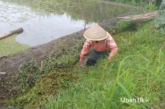Menyumbat irigasi. | Dokumen pribadi