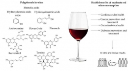 Komponen Senyawa  Bioaktif  (Sumber : Buljeta et al., 2023)