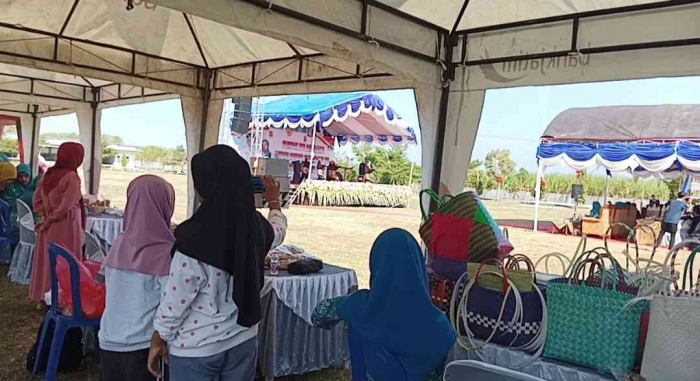 Puncak BBGRM XXl Kab Madiun dimeriahkan Penampilan Senam Pencak Silat Ibu-ibu PKK Desa Krandegan (dokpri)