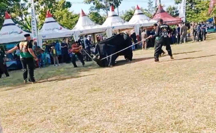 Seni Bantengan, dari Sarangan, Krandegan (tangkapan layar video panitia BBGRM)
