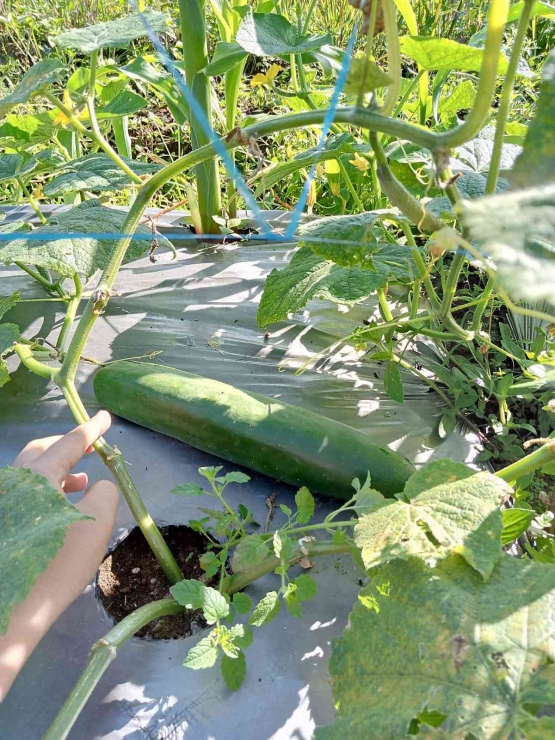 Dokumentasi PribadiÂ