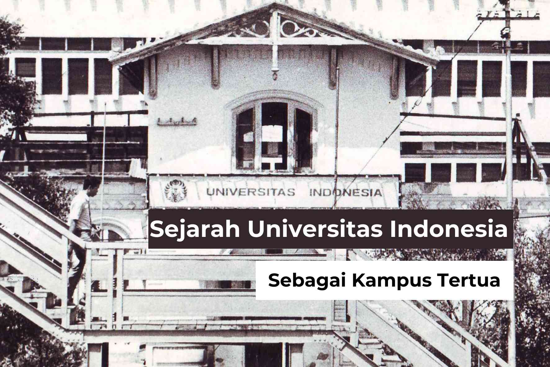 Mengupas Tuntas Biaya Kuliah di Universitas Negeri Jakarta (UNJ): Panduan Lengkap untuk Calon Mahasiswa