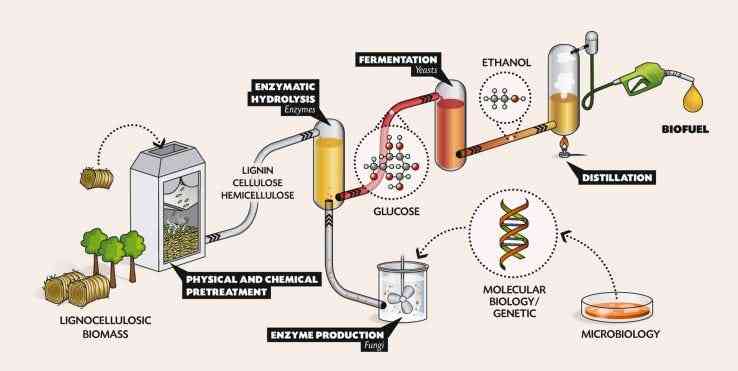 Proses pembuatan bioetanol (sumber gambar: shasolo.com)