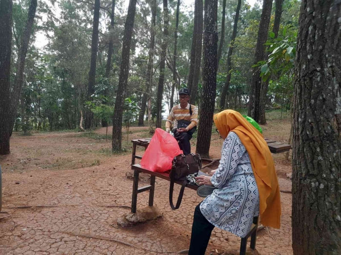 Menikmati nasi kotak di kelilingi pohon pinus (dokpri)