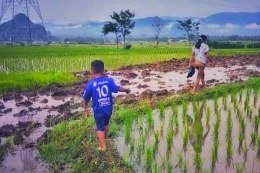 Main di sawah bagi anak jaman now mungkin sudah menjadi hal asing ketimbang game online dan menyentuh layar gawai. (Foto Akbar Pitopang)