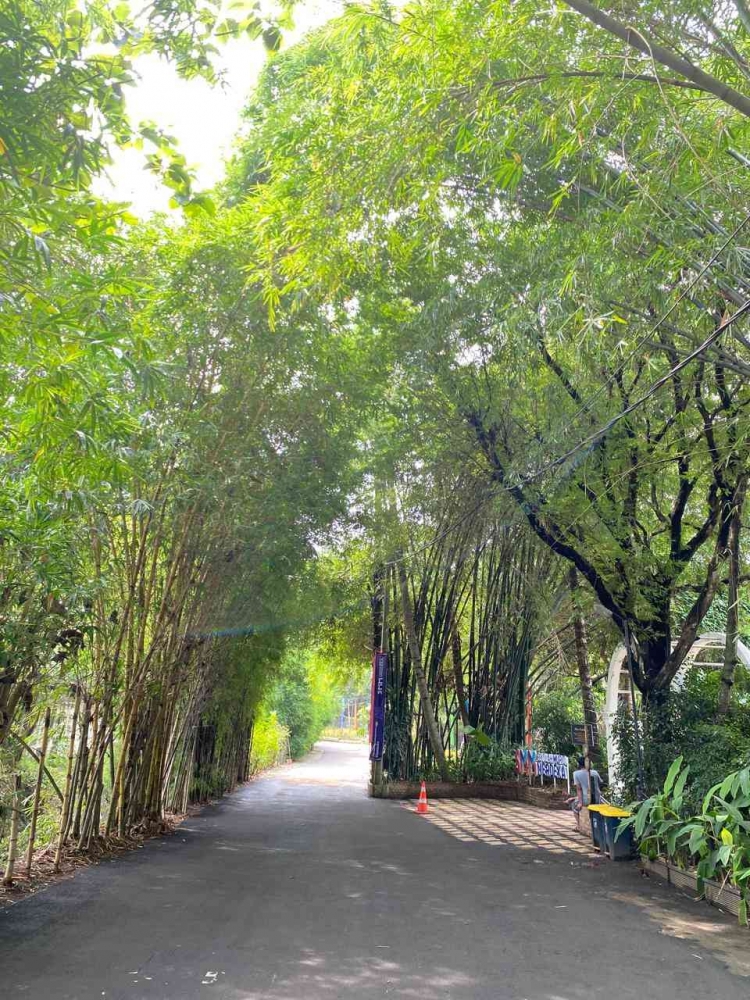 Rumah Perubahan Jakarta Escape City Park Oase Hijau di Kota Bekasi ...