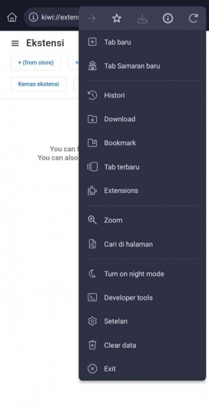 Kiwi Browser (Dokpri)