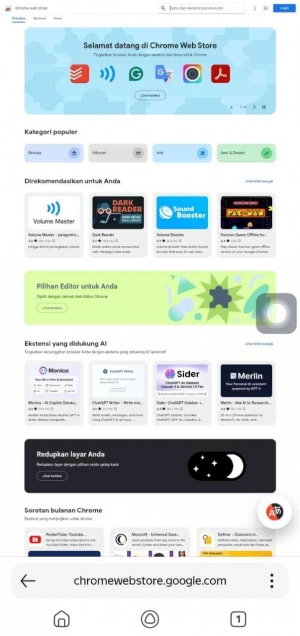 Yandex Browser (Dokpri)