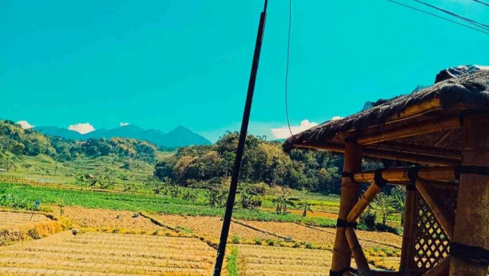 Pemandangan menuju lokasi sentra produksi Bolu Magetan sangat indah (dokpri)
